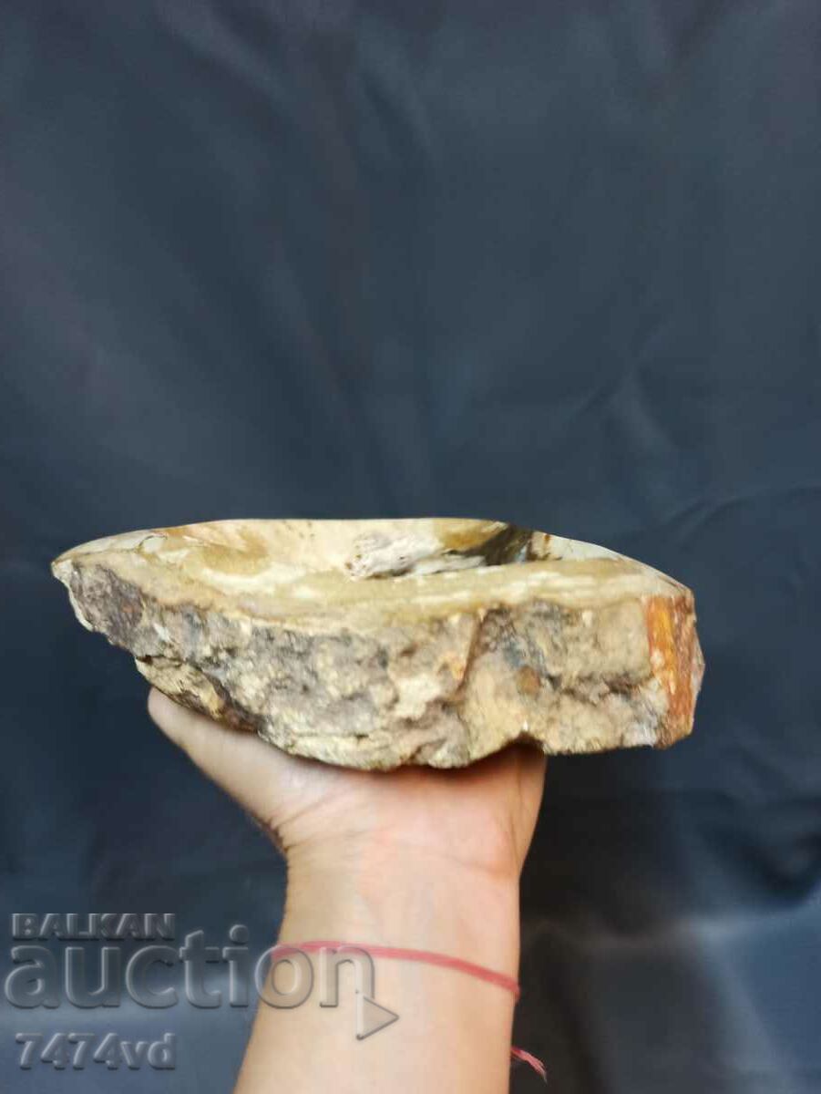 Massive vessel, bowl, ashtray, etc., made of petrified wood with price 150.00 BGN | € 76.69 Massive vessel, bowl, ashtray, etc., made of petrified wood with price 150.00 BGN | € 76.69
