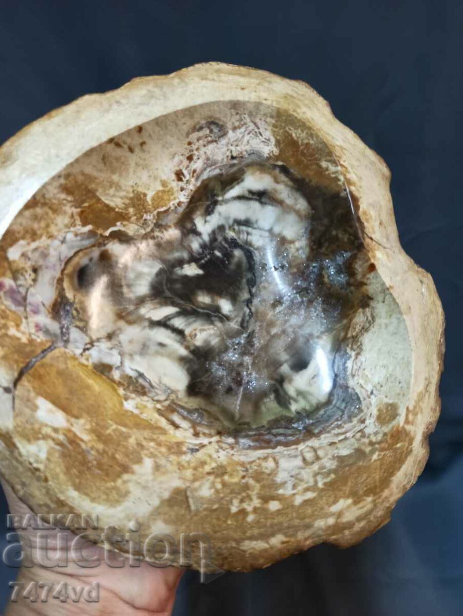 Auction Massive vessel, bowl, ashtray, etc., made of petrified wood Auction Massive vessel, bowl, ashtray, etc., made of petrified wood