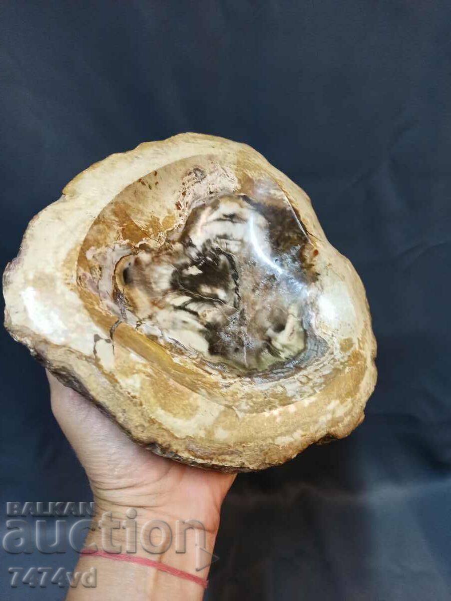 Delivery of Massive vessel, bowl, ashtray, etc., made of petrified wood Delivery of Massive vessel, bowl, ashtray, etc., made of petrified wood