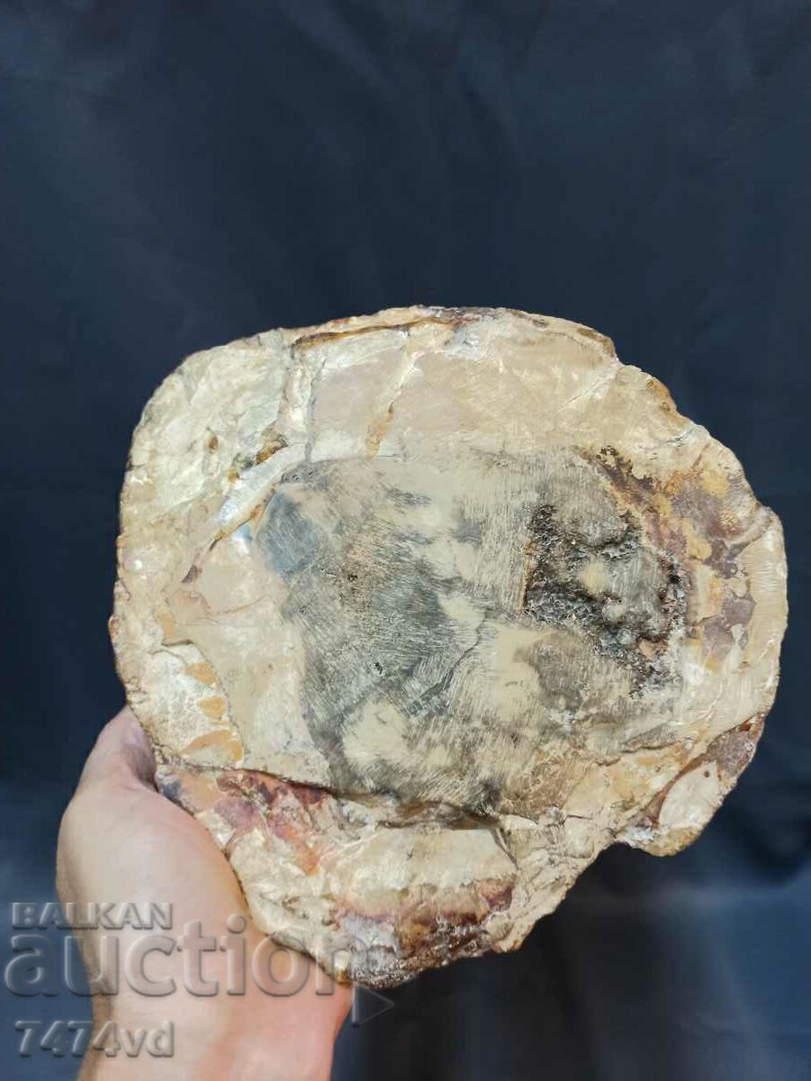 Масивен съд купа пепелник др от вкаменено дърво - 5