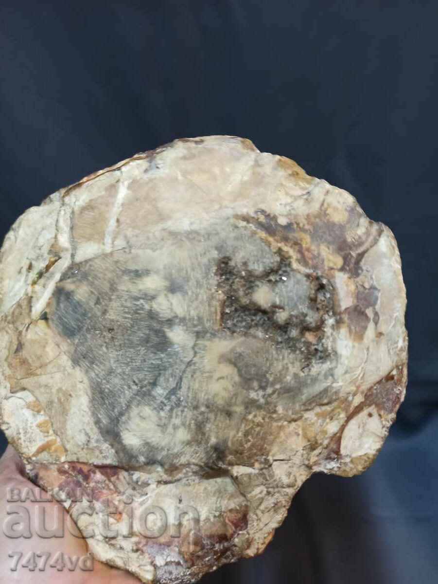 Massive vessel, bowl, ashtray, etc., made of petrified wood - 6 Massive vessel, bowl, ashtray, etc., made of petrified wood - 6