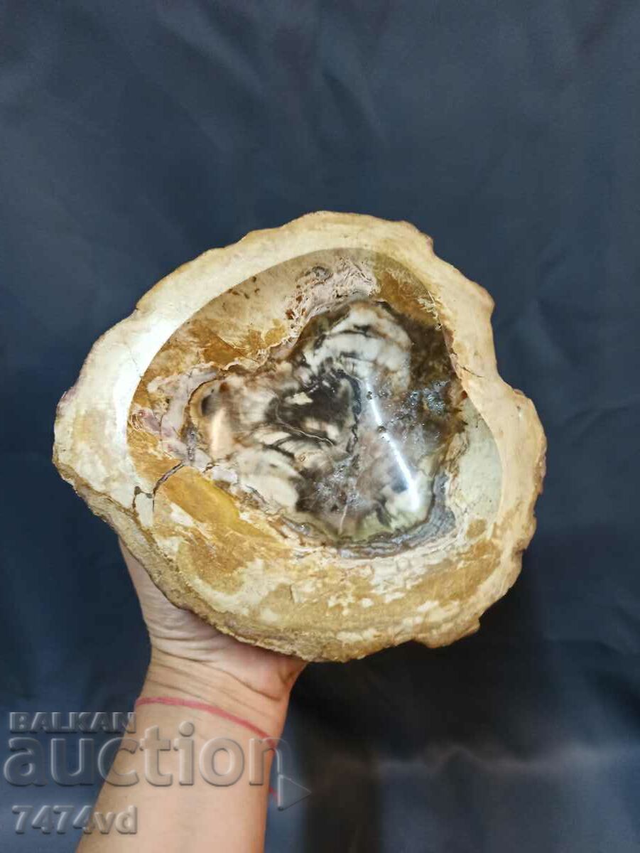 Vas masiv, castron, scrumieră etc., din lemn pietrificat