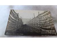 Καρτ ποστάλ Sozopol Drying of chirusi 1931
