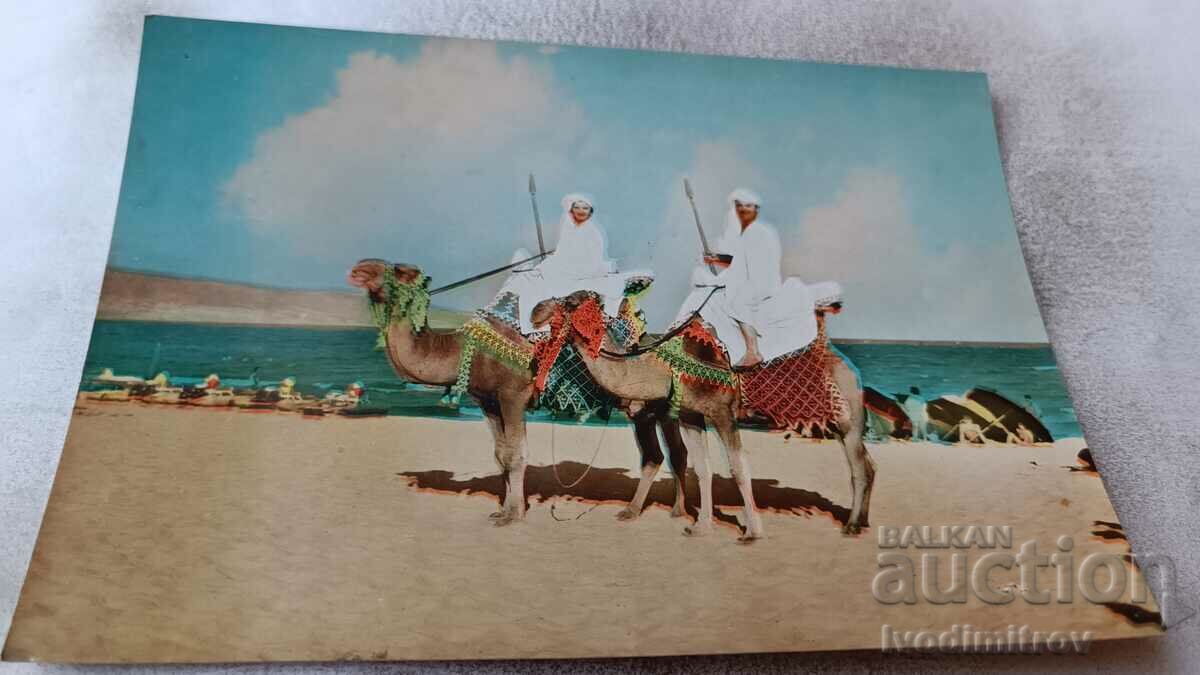 Καρτ ποστάλ Nessebar Exotica 1961