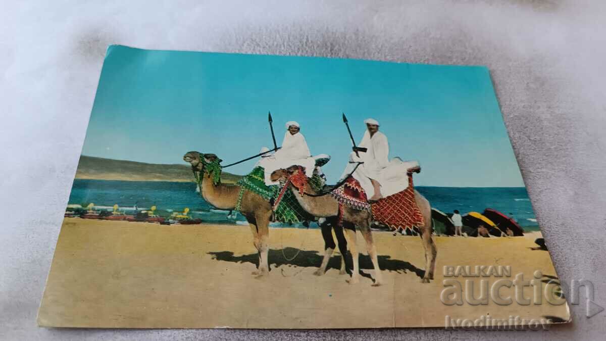 Postcard Nessebar Exotica 1961