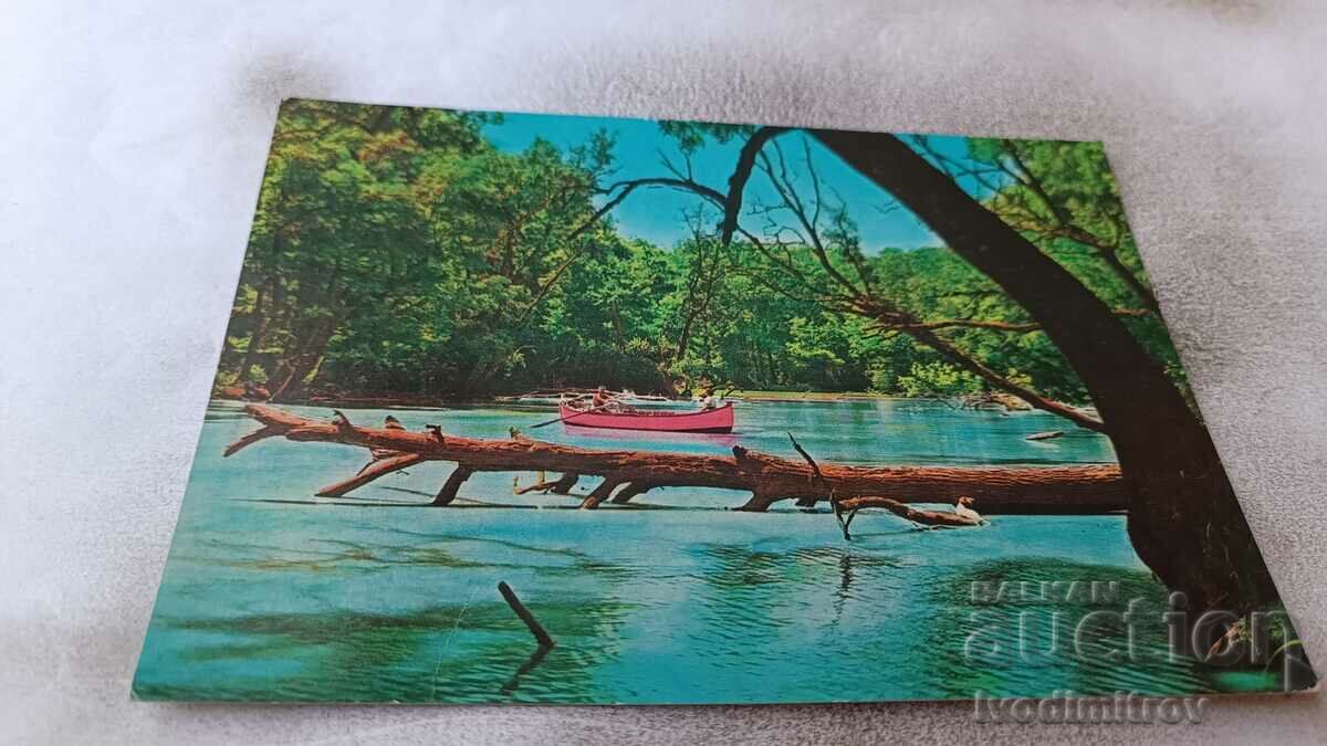 Пощенска картичка Река Камчия 1960