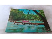 Postcard River Kamchia 1960