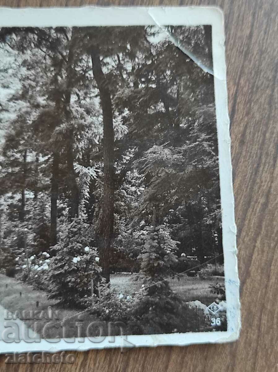 Postal card Kingdom of Bulgaria - Hisar baths, the park with price 10.00 BGN | € 5.11 Postal card Kingdom of Bulgaria - Hisar baths, the park with price 10.00 BGN | € 5.11