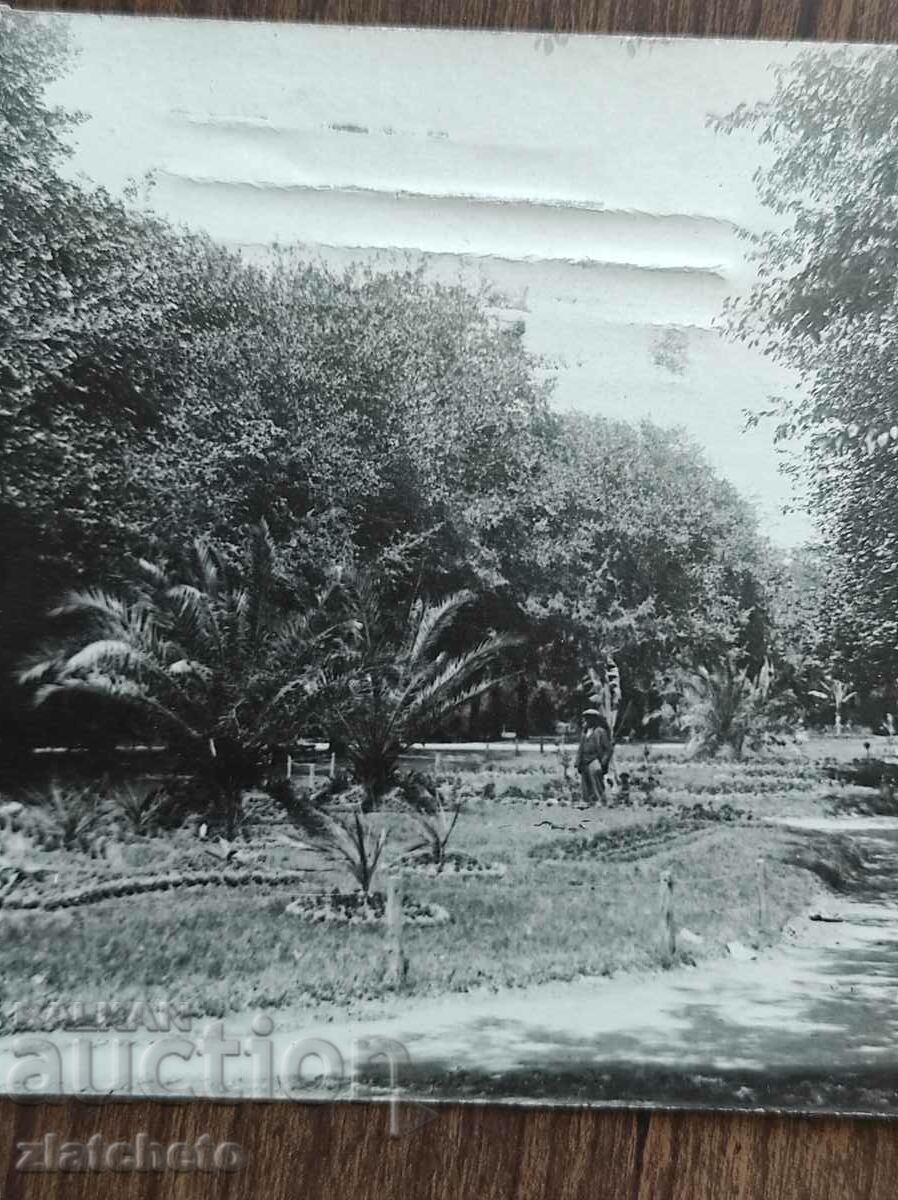 Ταχυδρομική κάρτα Βασίλειο της Βουλγαρίας - Βάρνα, το πάρκο με τιμή 25.00 BGN | € 12.78 Ταχυδρομική κάρτα Βασίλειο της Βουλγαρίας - Βάρνα, το πάρκο με τιμή 25.00 BGN | € 12.78