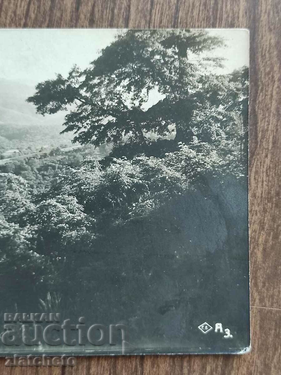 Postal card Kingdom of Bulgaria - Berkovitsa with price 20.00 BGN | € 10.23 Postal card Kingdom of Bulgaria - Berkovitsa with price 20.00 BGN | € 10.23