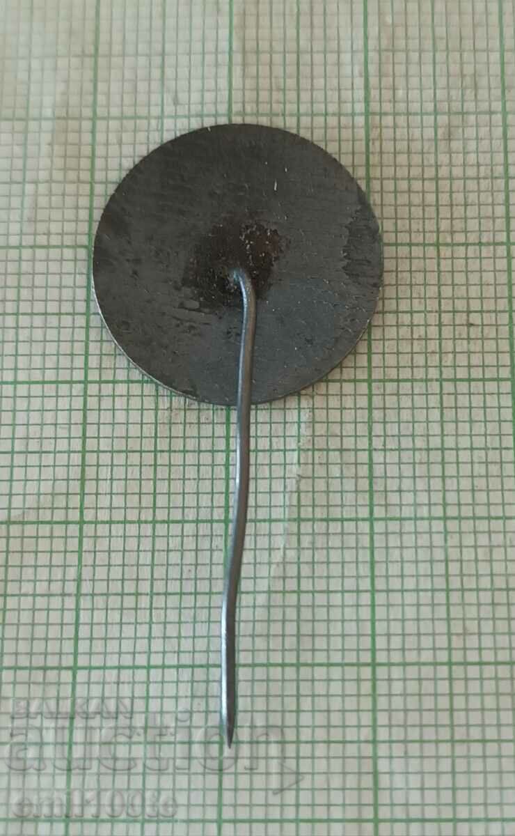 Delivery of Badge - Ethnographic Park - Ettar Museum Delivery of Badge - Ethnographic Park - Ettar Museum