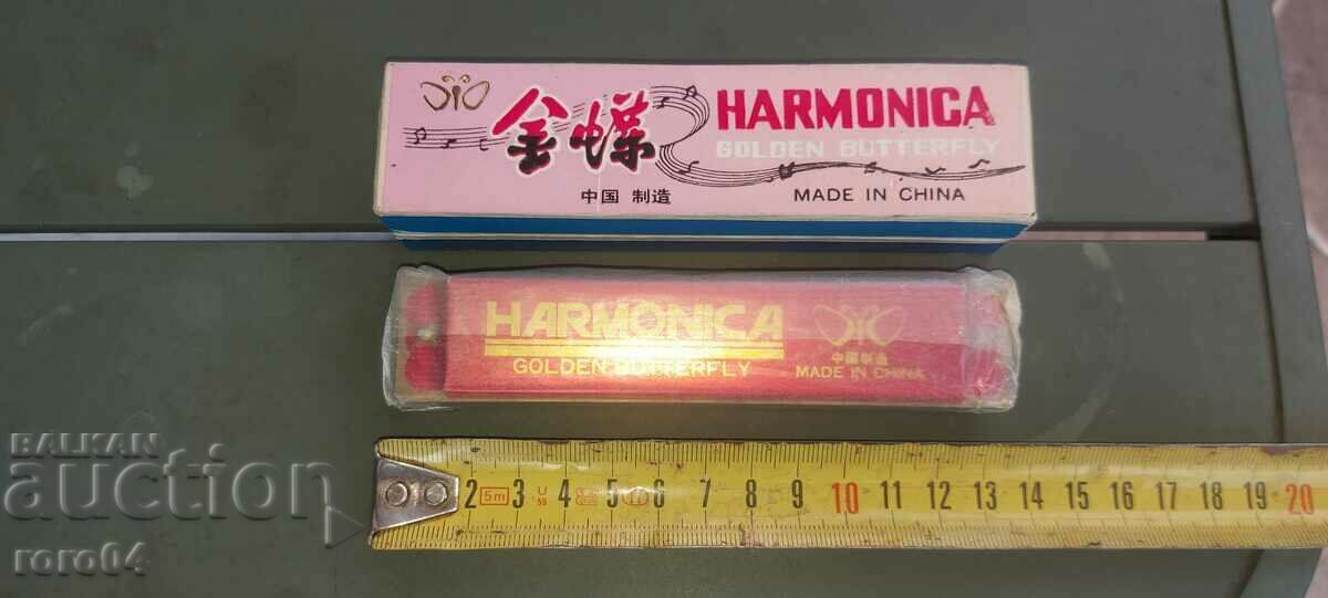 Licitație ACORDION - NOU - NOU