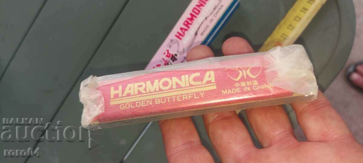 ACORDION - NOU - NOU - 5