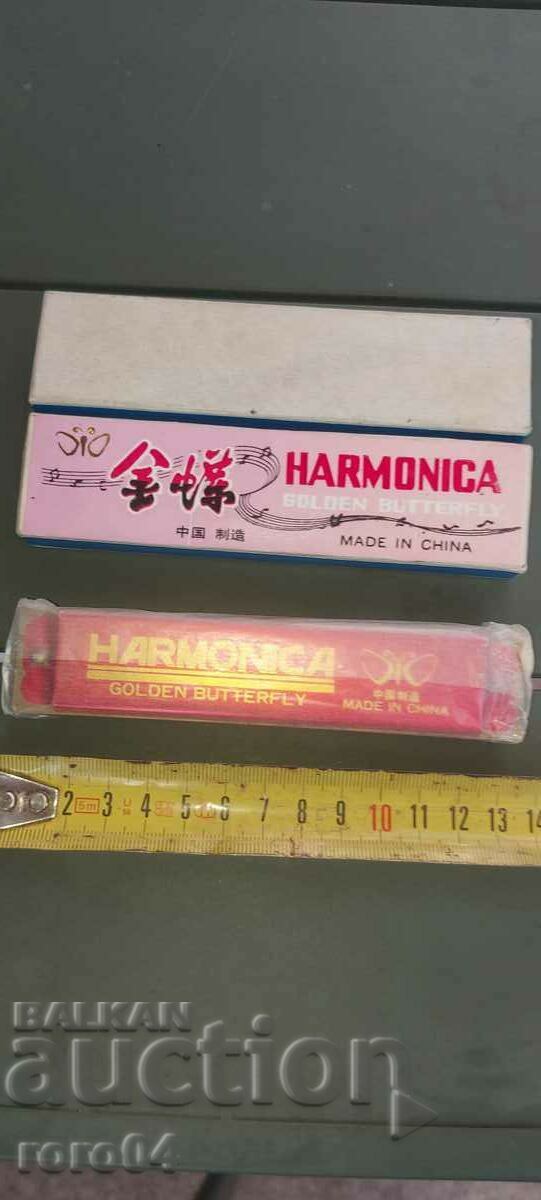 ACORDION - NOU - NOU - 6