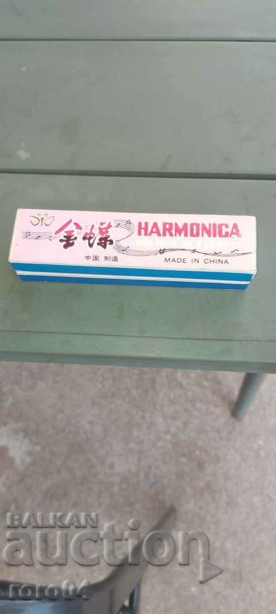 ACORDION - NOU - NOU