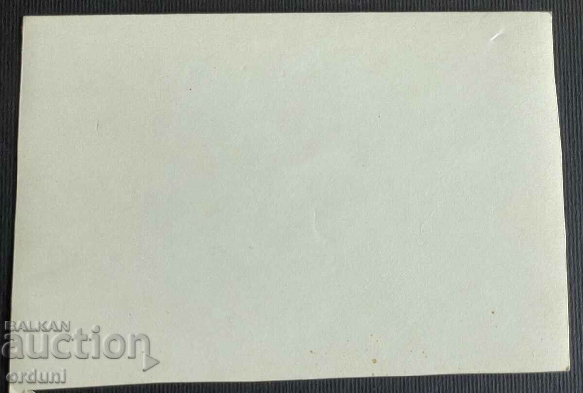 4519 The Kingdom of Bulgaria issued a photo of the Company VMRO Macedonia with price 40.00 BGN | € 20.45