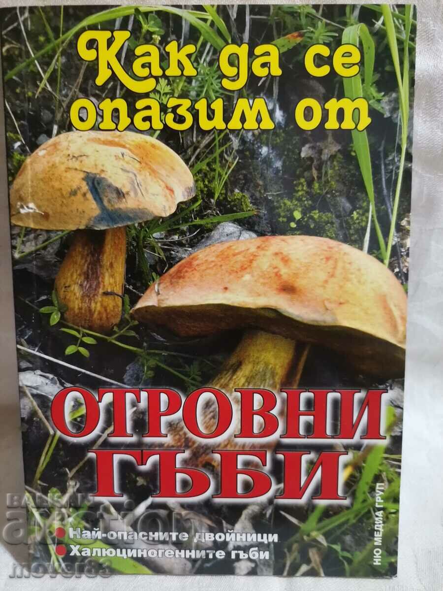How to protect yourself from poisonous mushrooms.