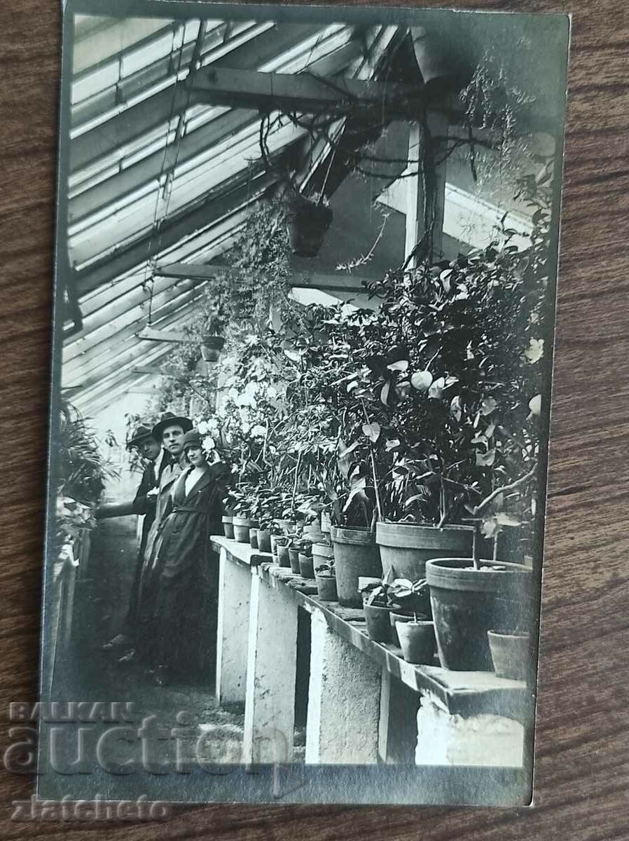 Old photo Kingdom of Bulgaria - florist