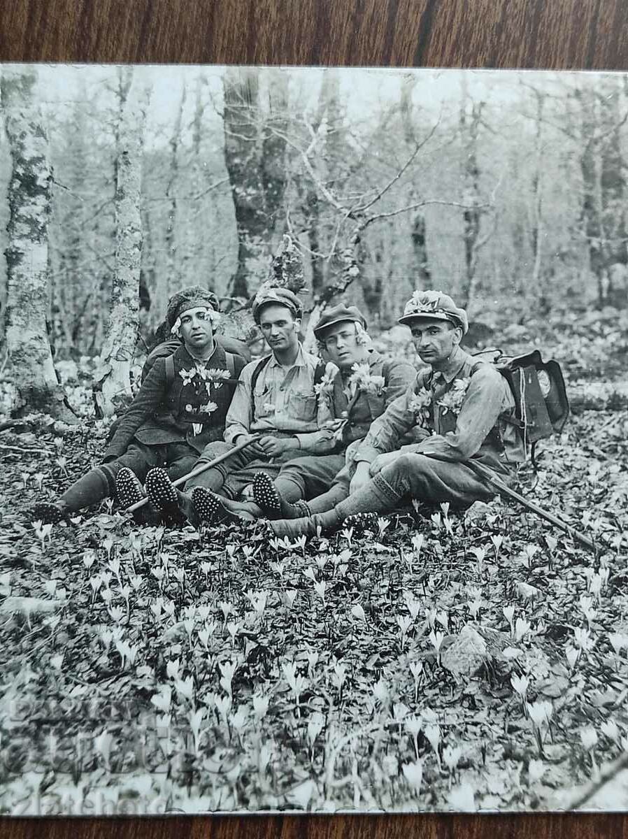 Old photo Kingdom of Bulgaria - with price € 3.07 | 6.00 BGN