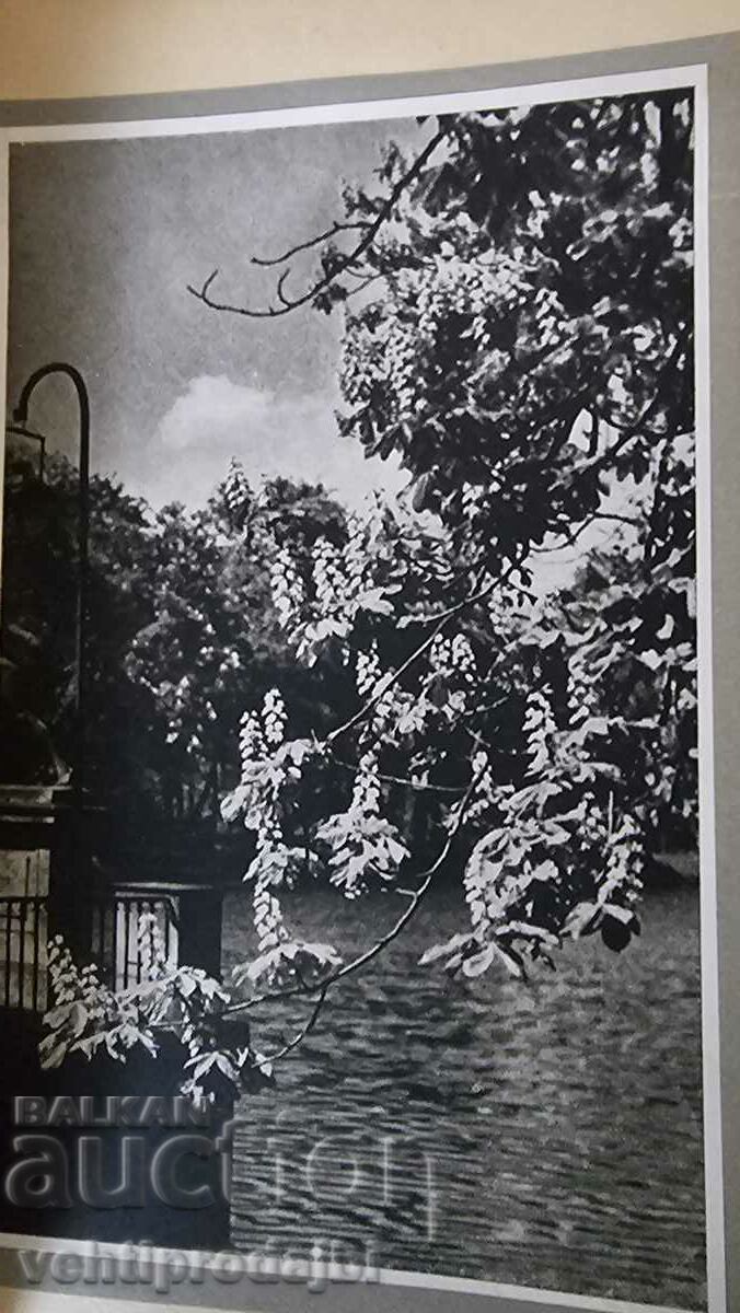 Auction Book - landscapes from Warsaw Auction Book - landscapes from Warsaw