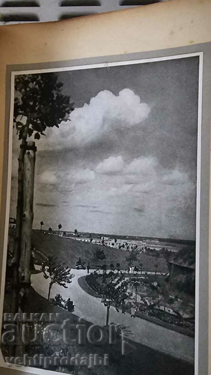 Delivery of Book - landscapes from Warsaw Delivery of Book - landscapes from Warsaw