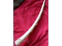 Elephant tusk.