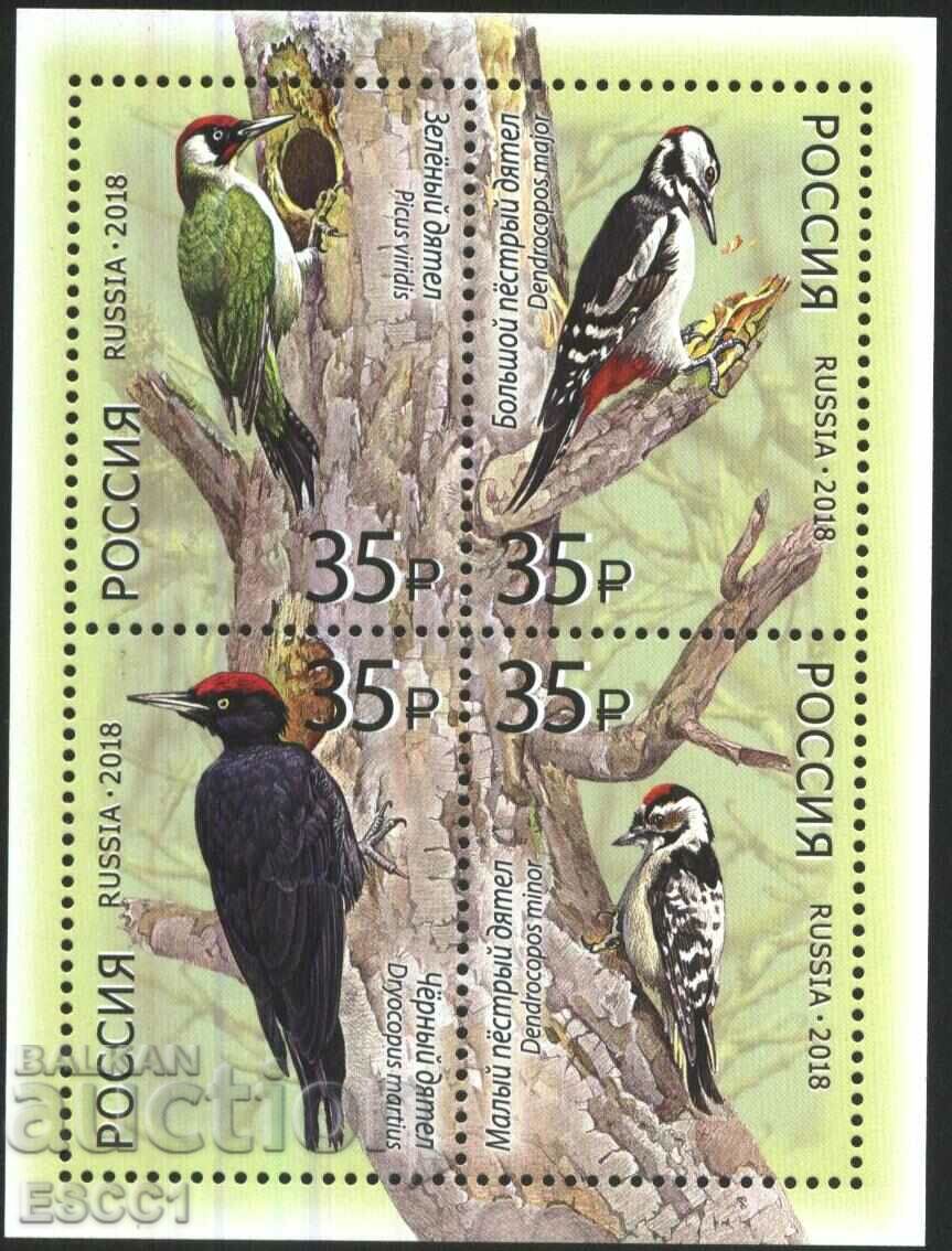 Clean Block Fauna Birds Woodpeckers 2018 from Russia