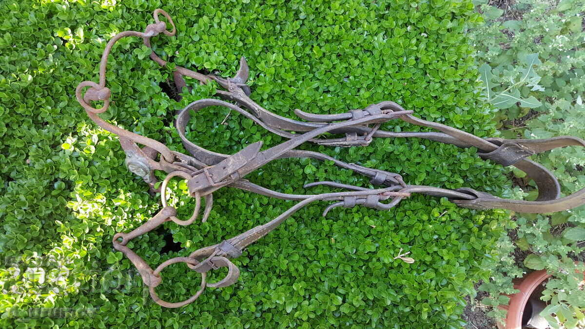 Auction French Artillery Bridle - First World War Auction French Artillery Bridle - First World War