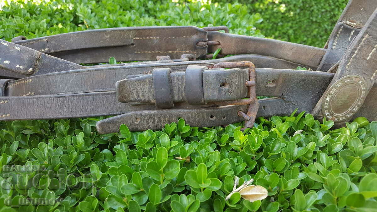 French Artillery Bridle - First World War - 5 French Artillery Bridle - First World War - 5