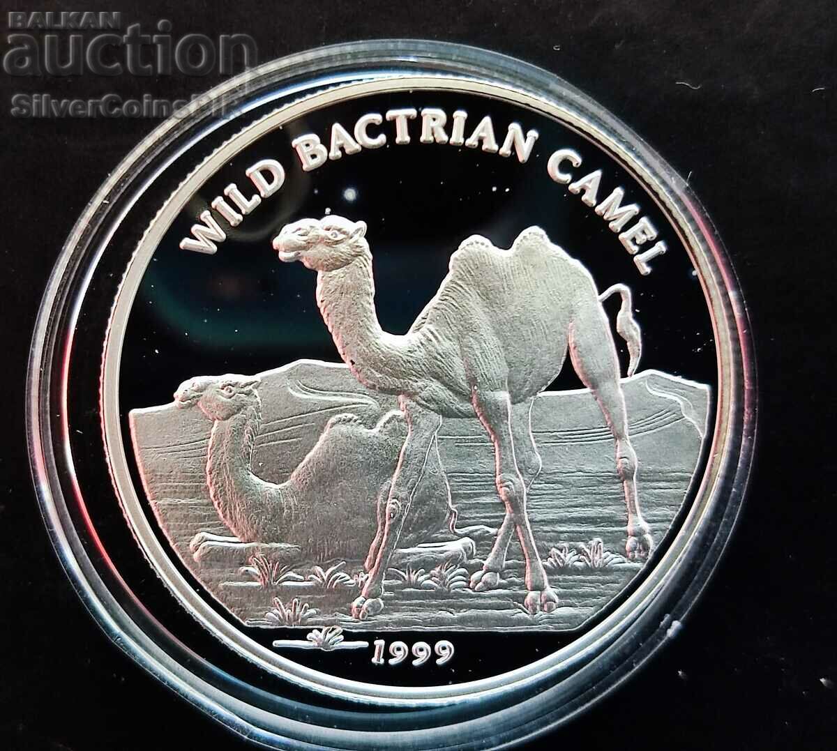 Сребро 500 Тугрик Камила 1999 Монголия