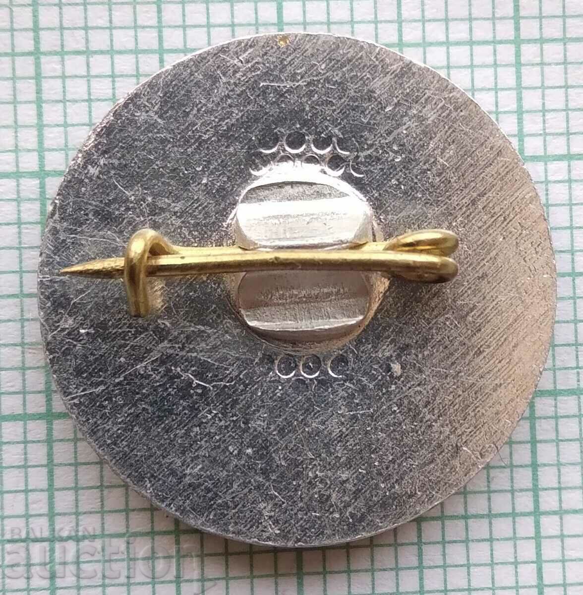 Auction 16427 Badge - Hydrostroy Auction 16427 Badge - Hydrostroy