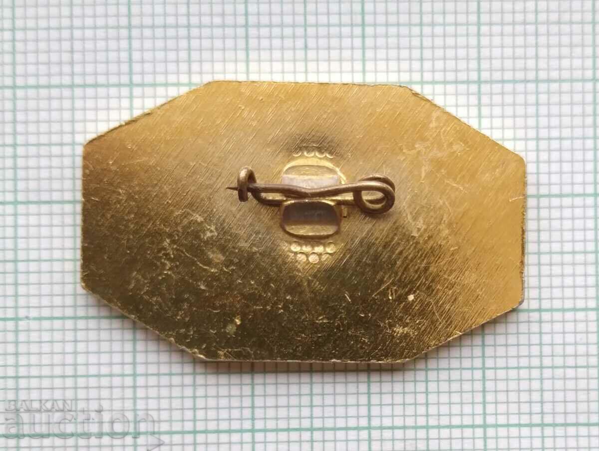 Auction 16444 Badge - 20 years CO Pamukotex Auction 16444 Badge - 20 years CO Pamukotex