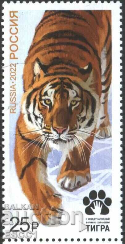 Marca pură Fauna Tiger 2022 din Rusia