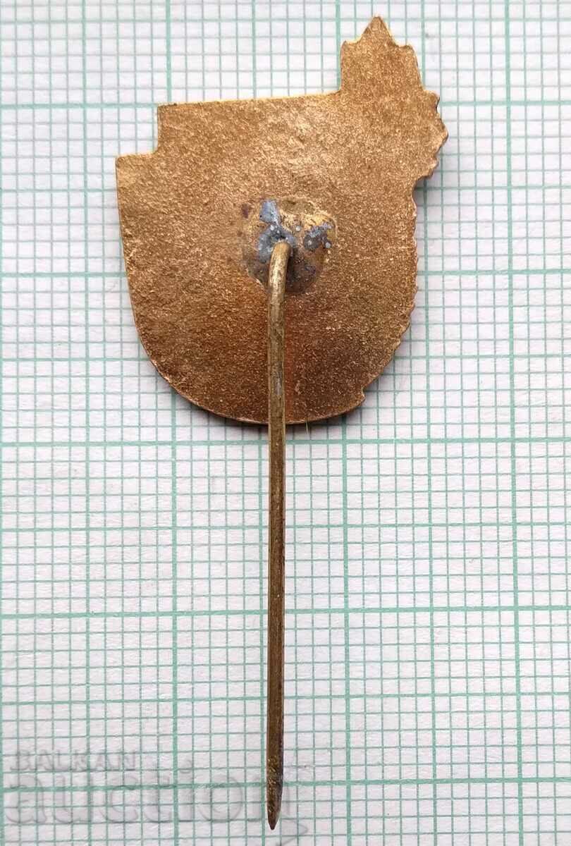 Auction 16460 Badge - Young tourist - bronze enamel Auction 16460 Badge - Young tourist - bronze enamel