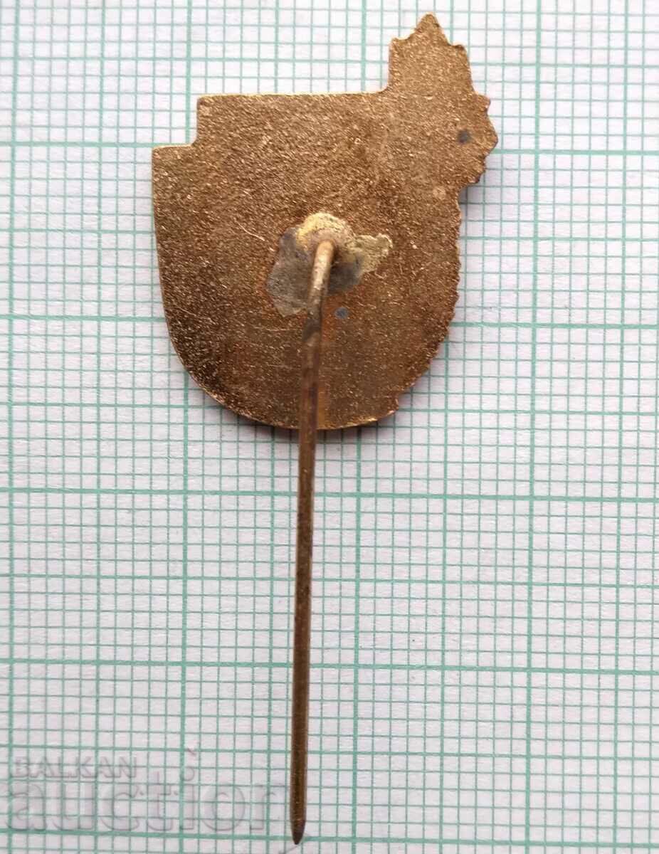 Auction 16461 Badge - Young tourist - bronze enamel Auction 16461 Badge - Young tourist - bronze enamel