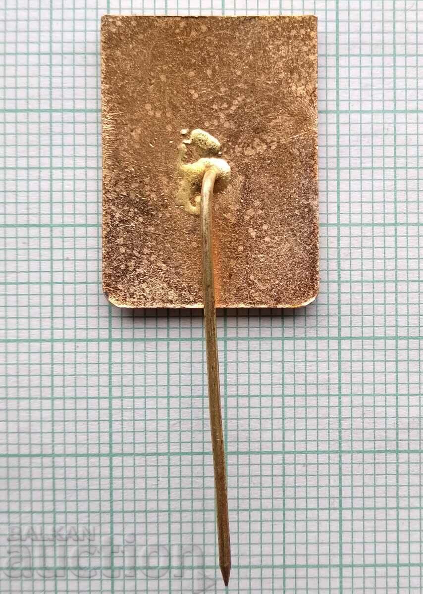 Δημοπρασία 16463 Σήμα - Αλπινισμός Γ' τάξη - χάλκινο σμάλτο Δημοπρασία 16463 Σήμα - Αλπινισμός Γ' τάξη - χάλκινο σμάλτο