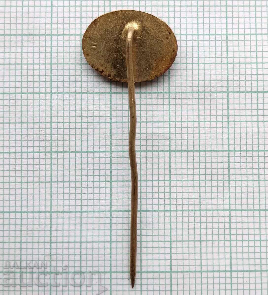 Delivery of 16466 Badge - CSD Railway Transport Czechoslovakia Delivery of 16466 Badge - CSD Railway Transport Czechoslovakia