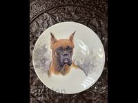 Bavarian porcelain wall plate with the image of a boxer. #567