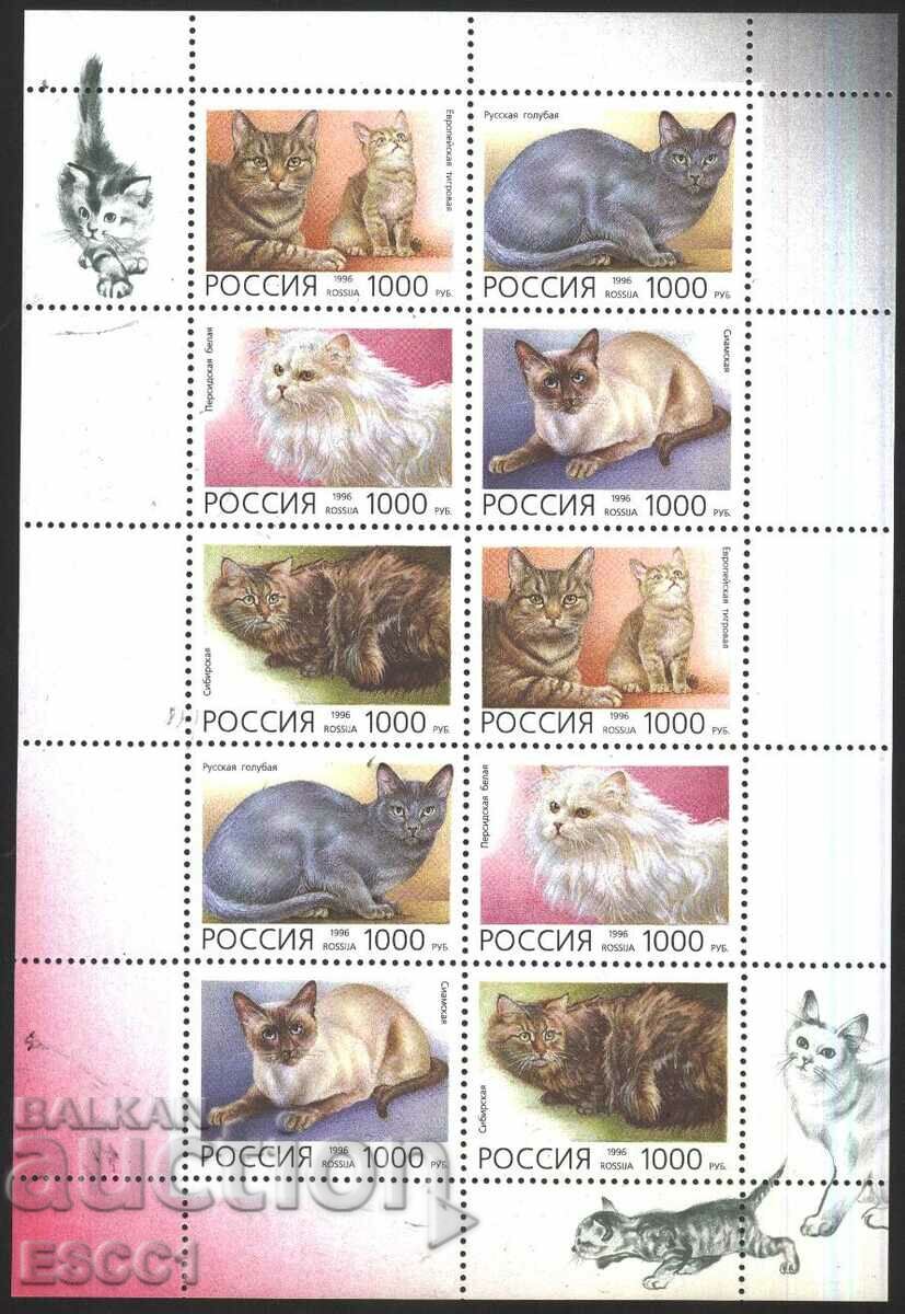 Чисти марки в малъл лист  Фауна  Котки 1996 от Русия