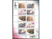 Clean stamps in small sheet Fauna Cats 1996 from Russia
