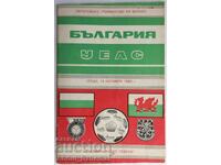 Football program Bulgaria - Wales 1983