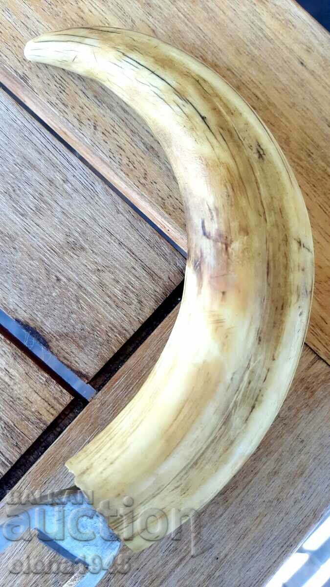 Bottle opener with price 70.00 BGN | € 35.79 Bottle opener with price 70.00 BGN | € 35.79