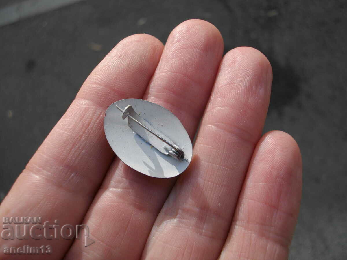 ΠΑΛΙΑ ΖΩΓΡΑΦΙΚΗ ΚΑΡΦΙΛΑ - 6 ΠΑΛΙΑ ΖΩΓΡΑΦΙΚΗ ΚΑΡΦΙΛΑ - 6