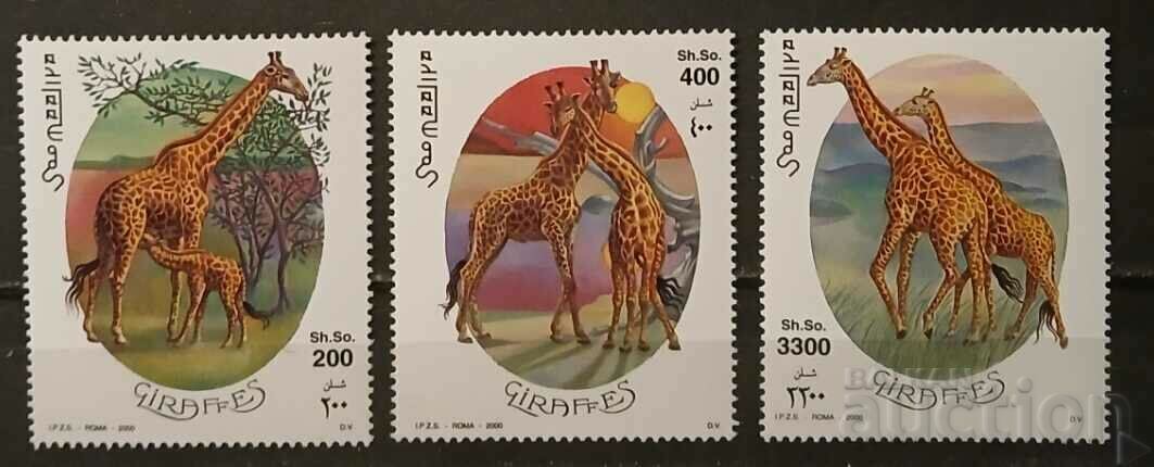 Сомалия 2000 Фауна/Жирафи 13.50€ MNH