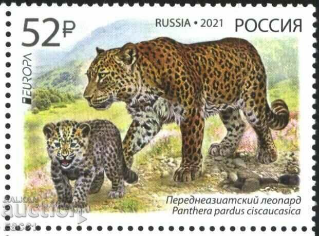 Pure stamp Europe SEPT Fauna Leopard 2021 from Russia