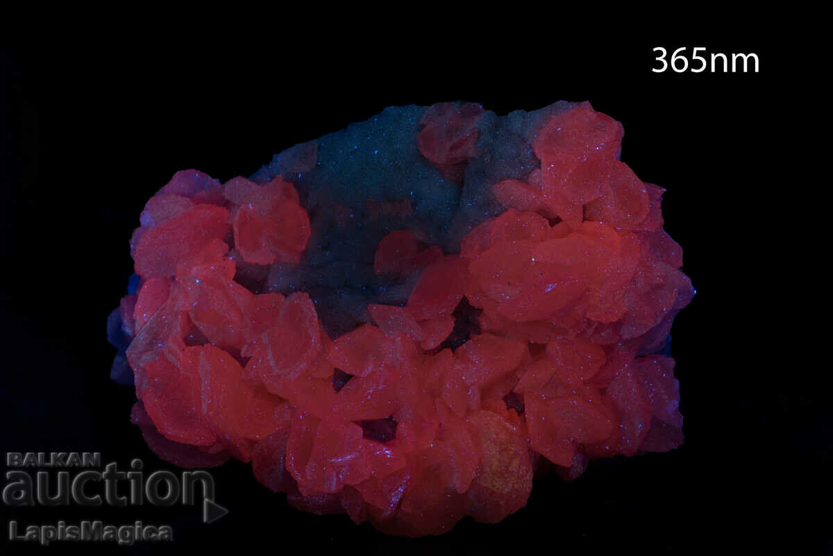 Δημοπρασία Μεγάλος ασβεστίτης druse με χαλαζία Βουλγαρίας 1,96kg φθορισμού Δημοπρασία Μεγάλος ασβεστίτης druse με χαλαζία Βουλγαρίας 1,96kg φθορισμού