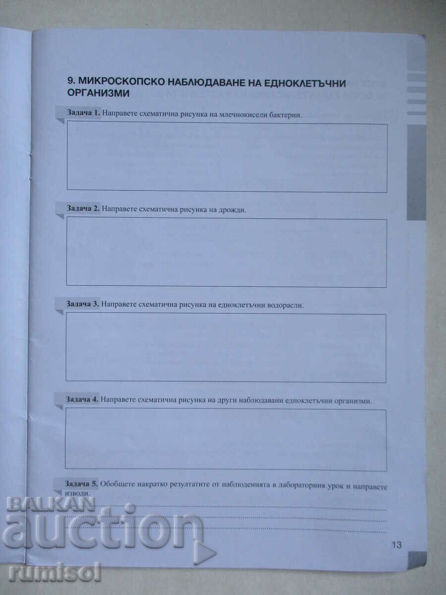 Notebook on biology and others. education - 7th grade, Prosveta - 5 Notebook on biology and others. education - 7th grade, Prosveta - 5