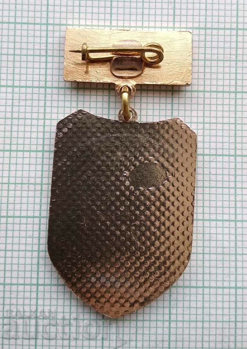 Auction 16539 Badge - BNA Warrior athlete Auction 16539 Badge - BNA Warrior athlete