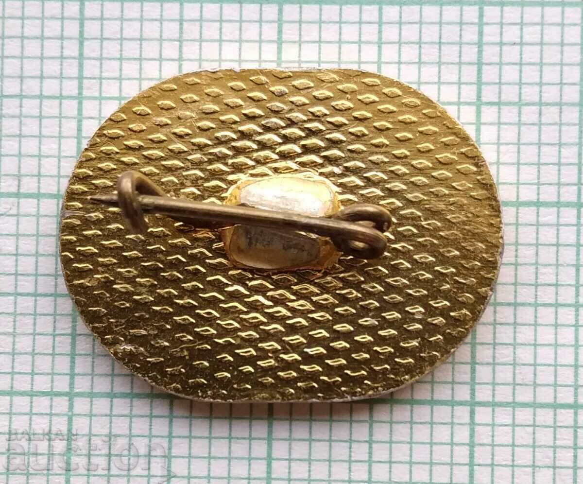 Auction 16540 Badge - 25 years National Youth Auction 16540 Badge - 25 years National Youth