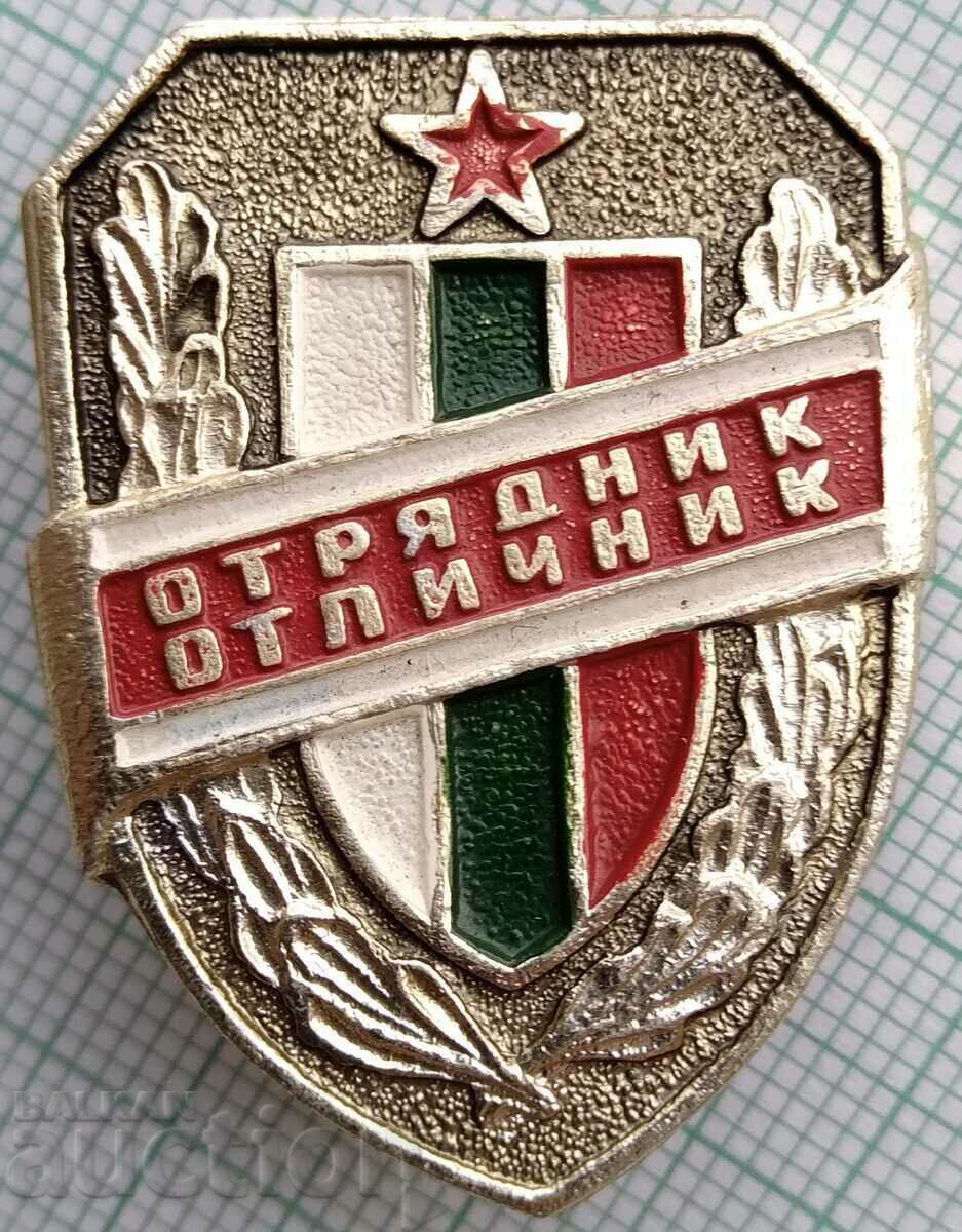 16543 Badge - Distinguished Serviceman